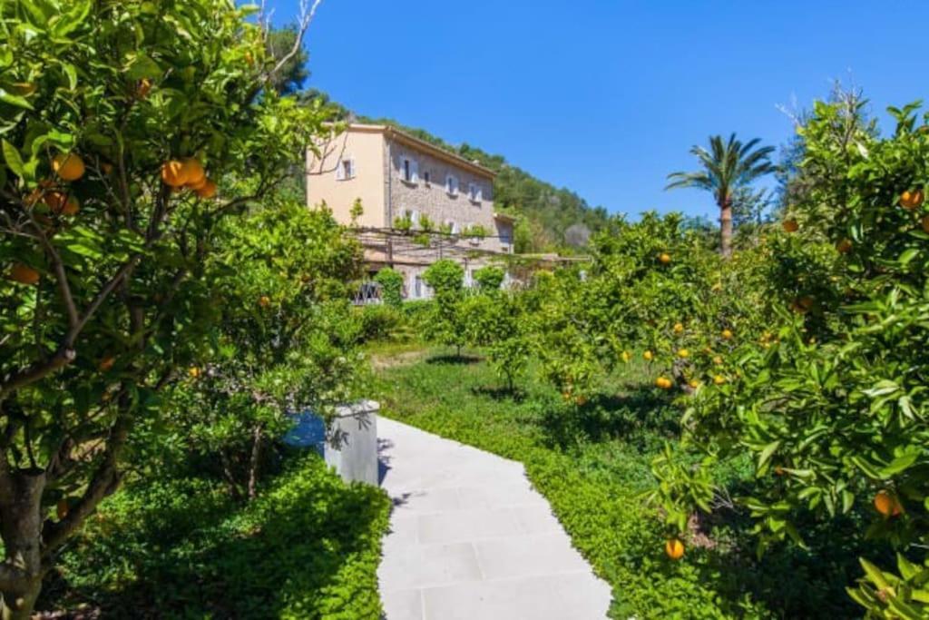 Son Llempaies, Finca For 12 Soller Exterior photo